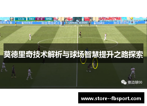 莫德里奇技术解析与球场智慧提升之路探索