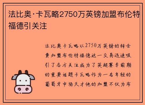 法比奥·卡瓦略2750万英镑加盟布伦特福德引关注